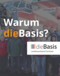 warum dieBasis