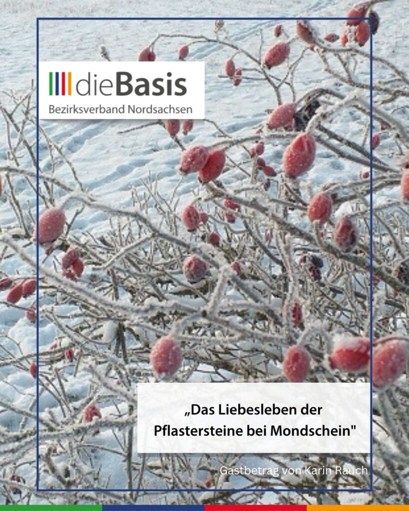 BV Nordsachsen Vorlage